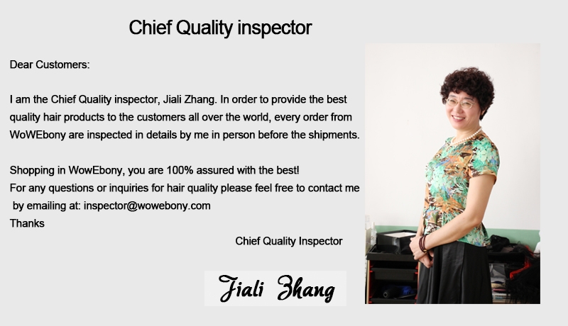 Chief Quality Control Inspector Chief Quality Control Inspector
