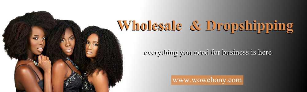 wholesale and dropshipping